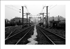 dailyPhoto21